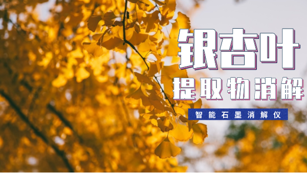 銀杏葉提取物消解最簡單方法！一眼就會